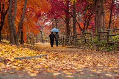 Parka jesienią, fot. źródło pixabay