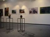 Wystawa środowiskowa - prace artystów