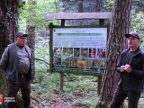 Leśnicy przy tablicy informacyjnej