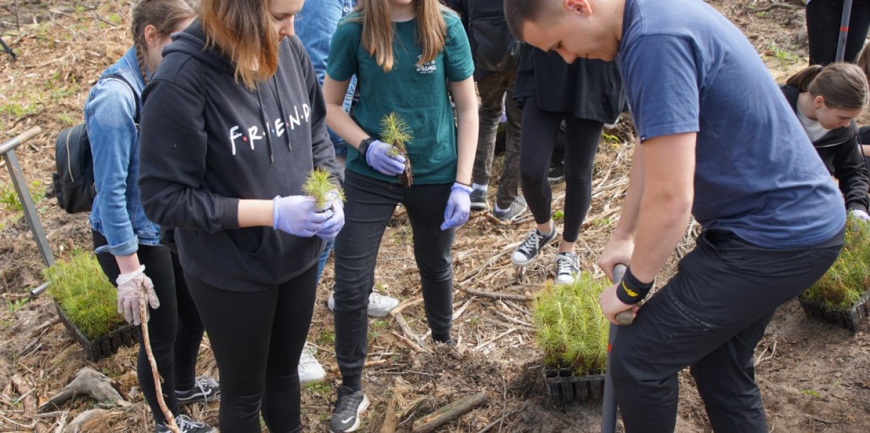 Uczniowie zasadzą prawie 2000 drzew w Pustkowie Osiedlu