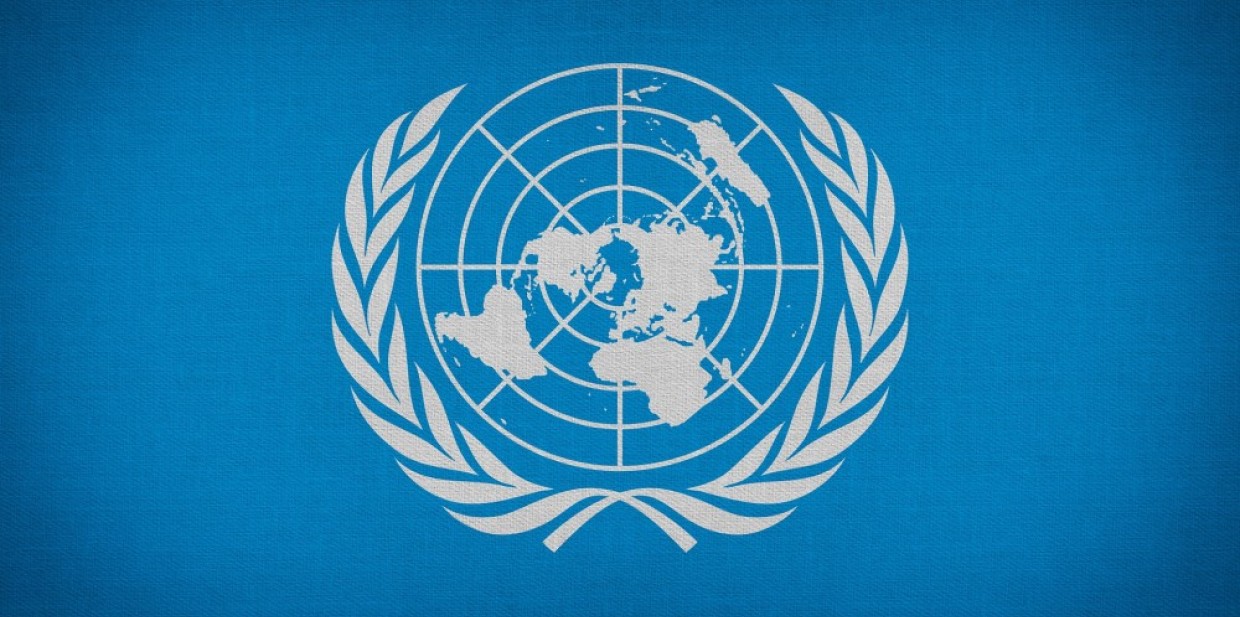 „Młodzieżowy Delegat RP do ONZ”